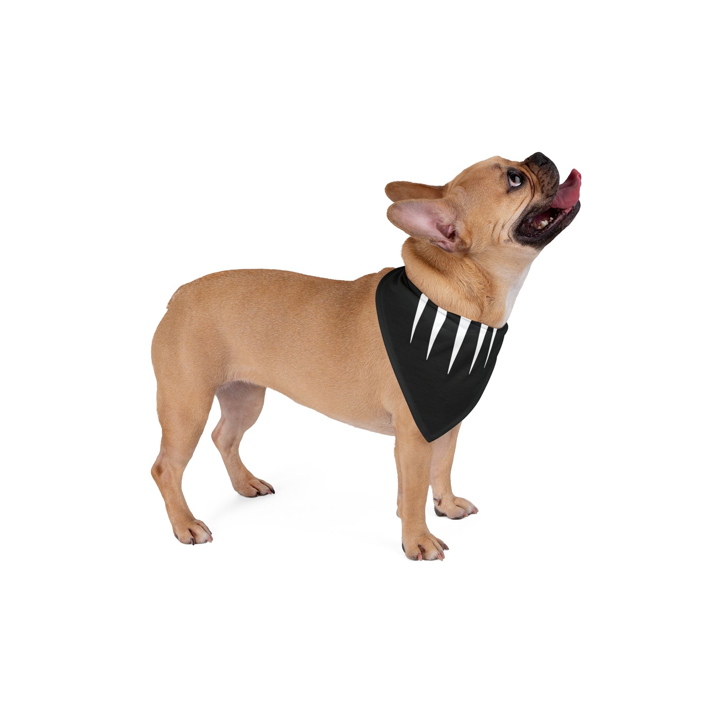 :: WAMP Pet Bandana ::